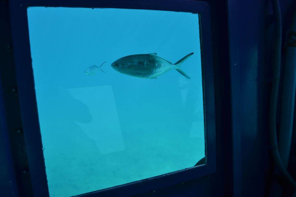 Caleta de Fuste Glass Bottom Boat Tour