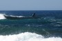 Los Lagos beach in El Cotillo,Fuerteventura