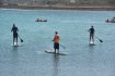 SUP Course in Caleta (1.5 hours)