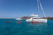 Private Catamaran Tour to Lobos Island