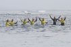 Corralejo 6 Day Surf School