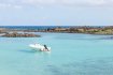 Private Catamaran Tour to Lobos Island