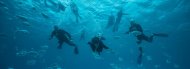 Lobos Island Diving and Snorkelling Trip