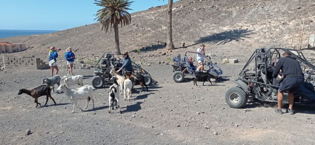 Jandía Natural Park Buggy Tour from Costa Calma